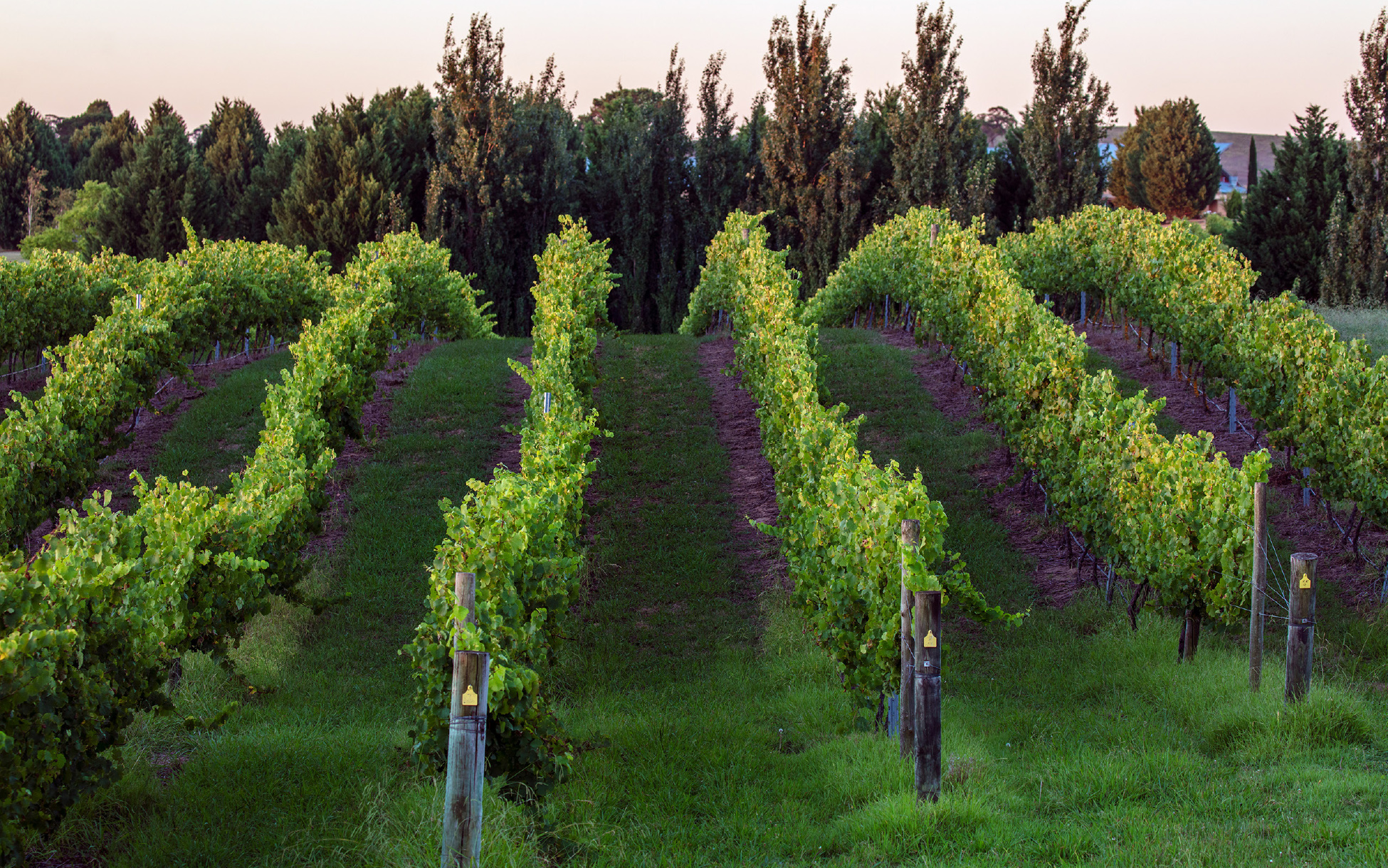 ashbourne-lifestyle-2