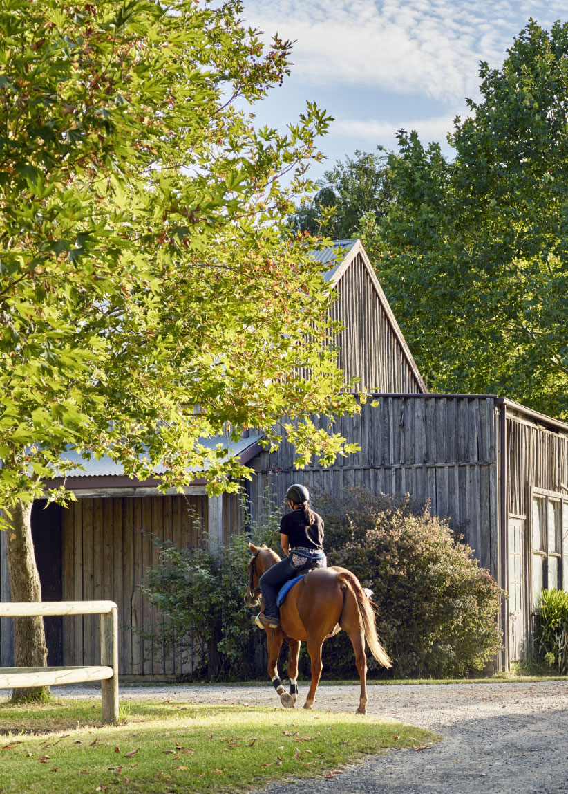 Nouvm_Ashbourne_Location_Lady_on_horse_822x1148