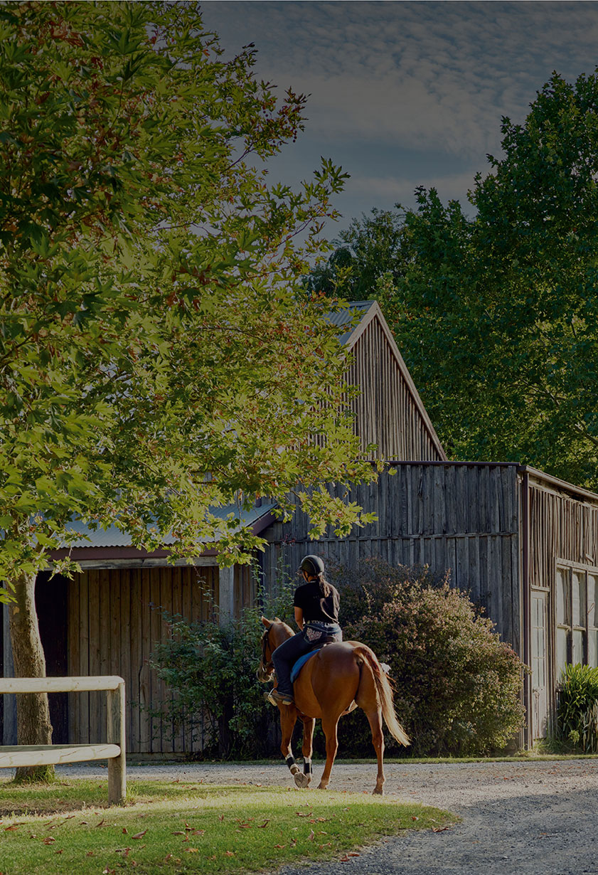 Nouvm_Ashbourne_Location_840x1230