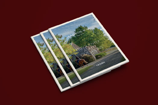 Novm_Ashbourne_Turnkey_Homes_The_Hasting_FAQ_524x349